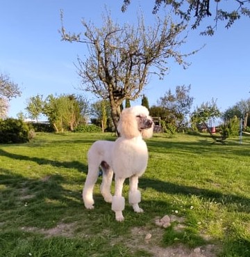 279853090_3277454412533659_4413381662665805259_n_1