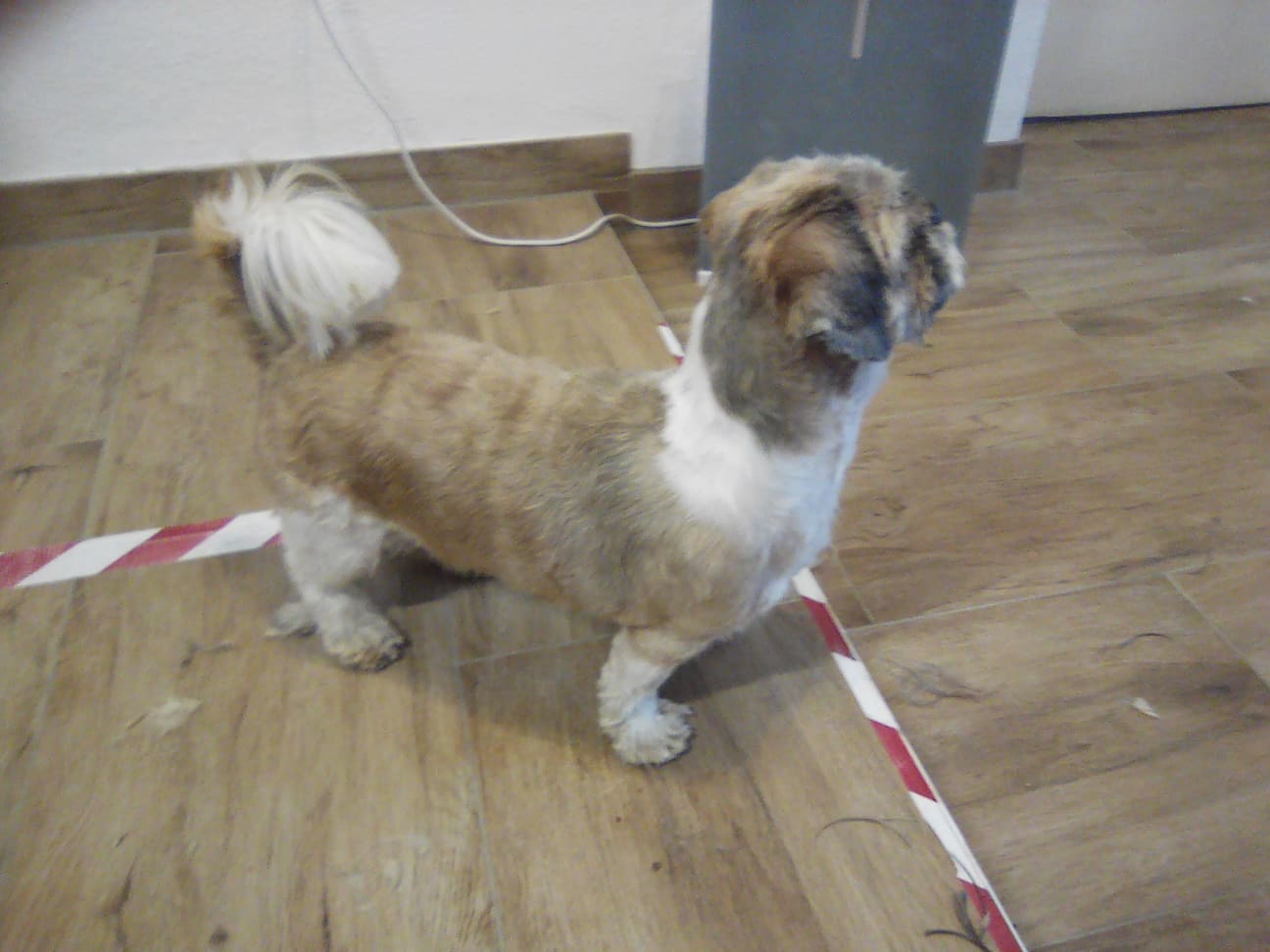 268551806_3119538148306866_8087280133437906724_n